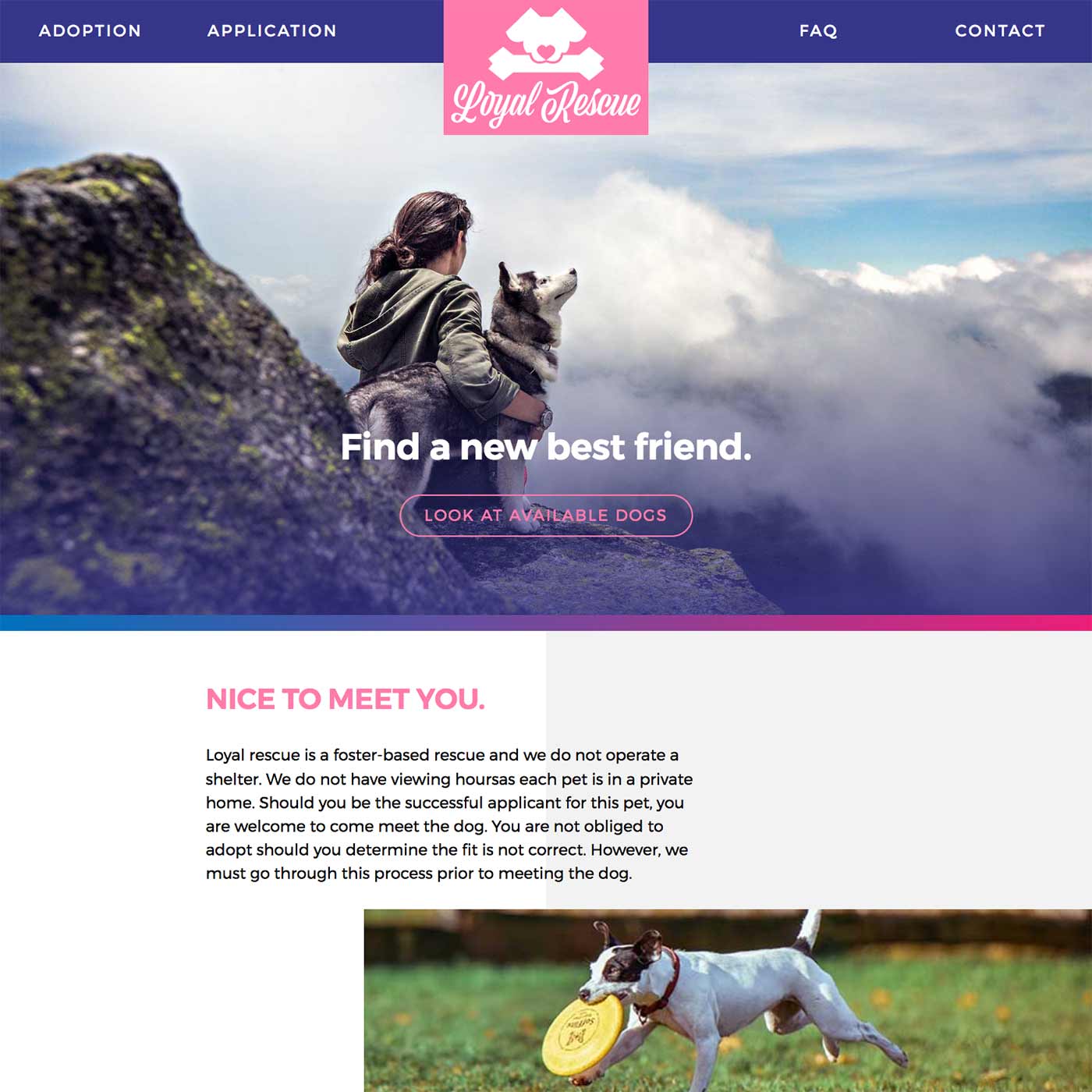 Dog Rescue Pattern Library